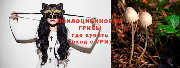 гашишное масло Ладушкин