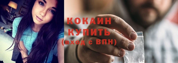 прущие грибы Лагань