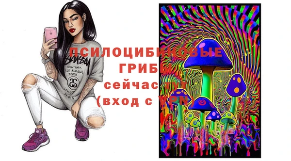 прущие грибы Лагань