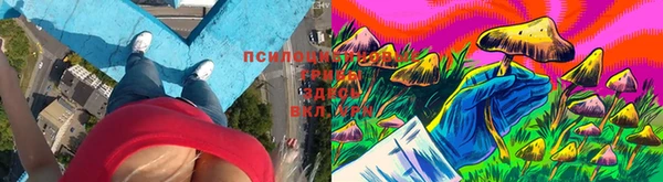 гашишное масло Ладушкин