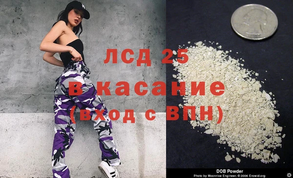 прущие грибы Лагань
