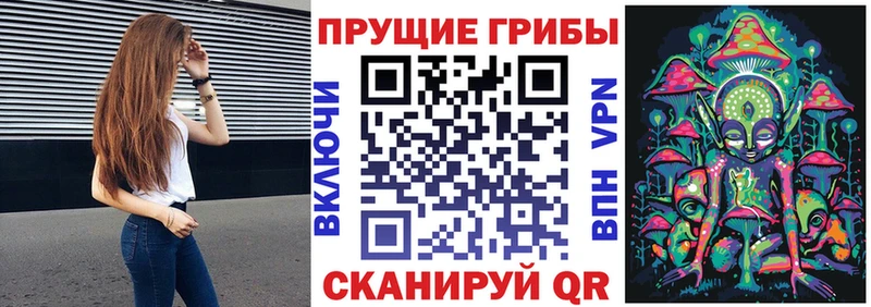 Псилоцибиновые грибы прущие грибы купить наркотики сайты ссылка на мегу tor Янаул